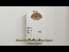 Цифровая регулируемая температура принудительный отработанный газ водонагреватель высокая эффективность 12L - 24L